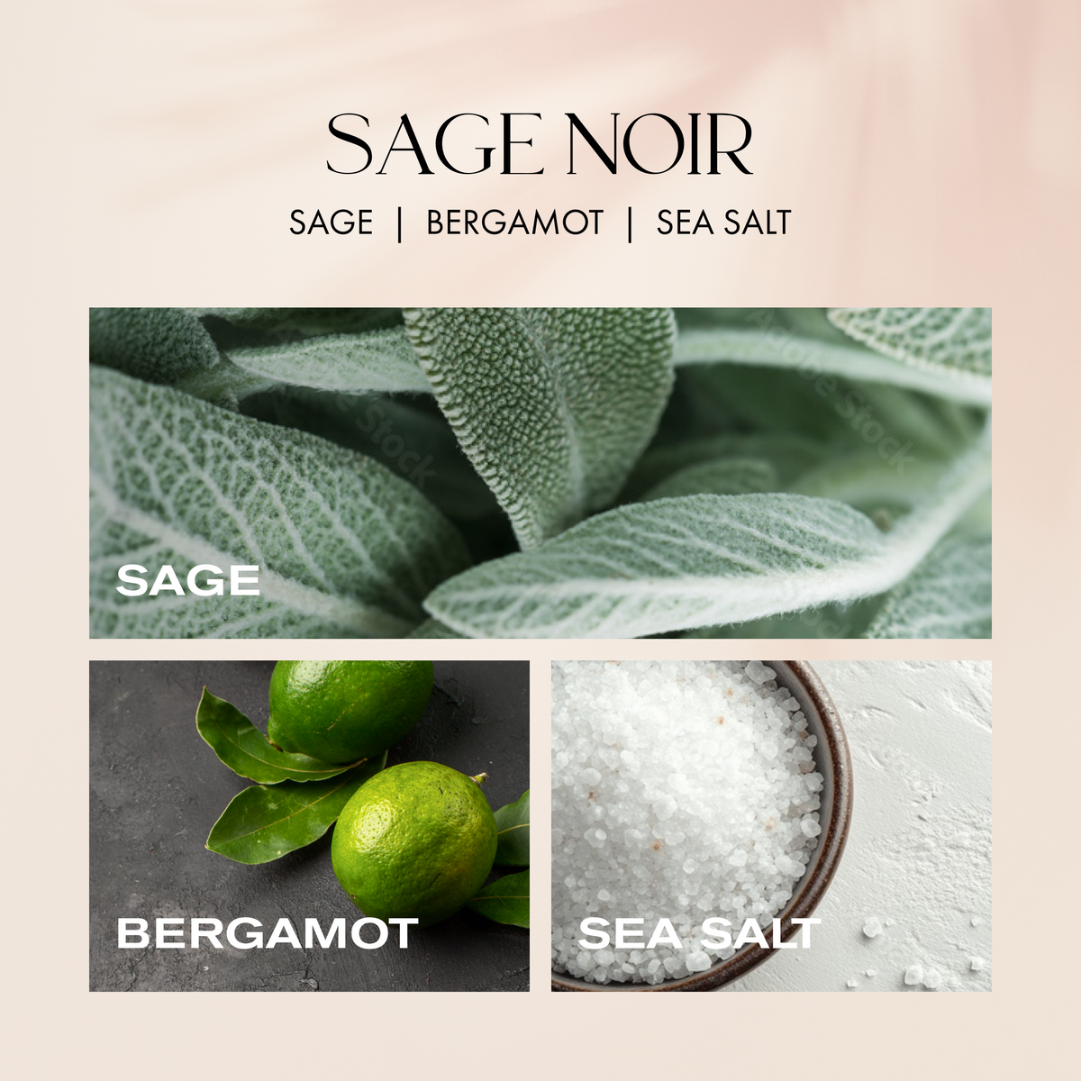 Sage Noir Luxury Scented Candle