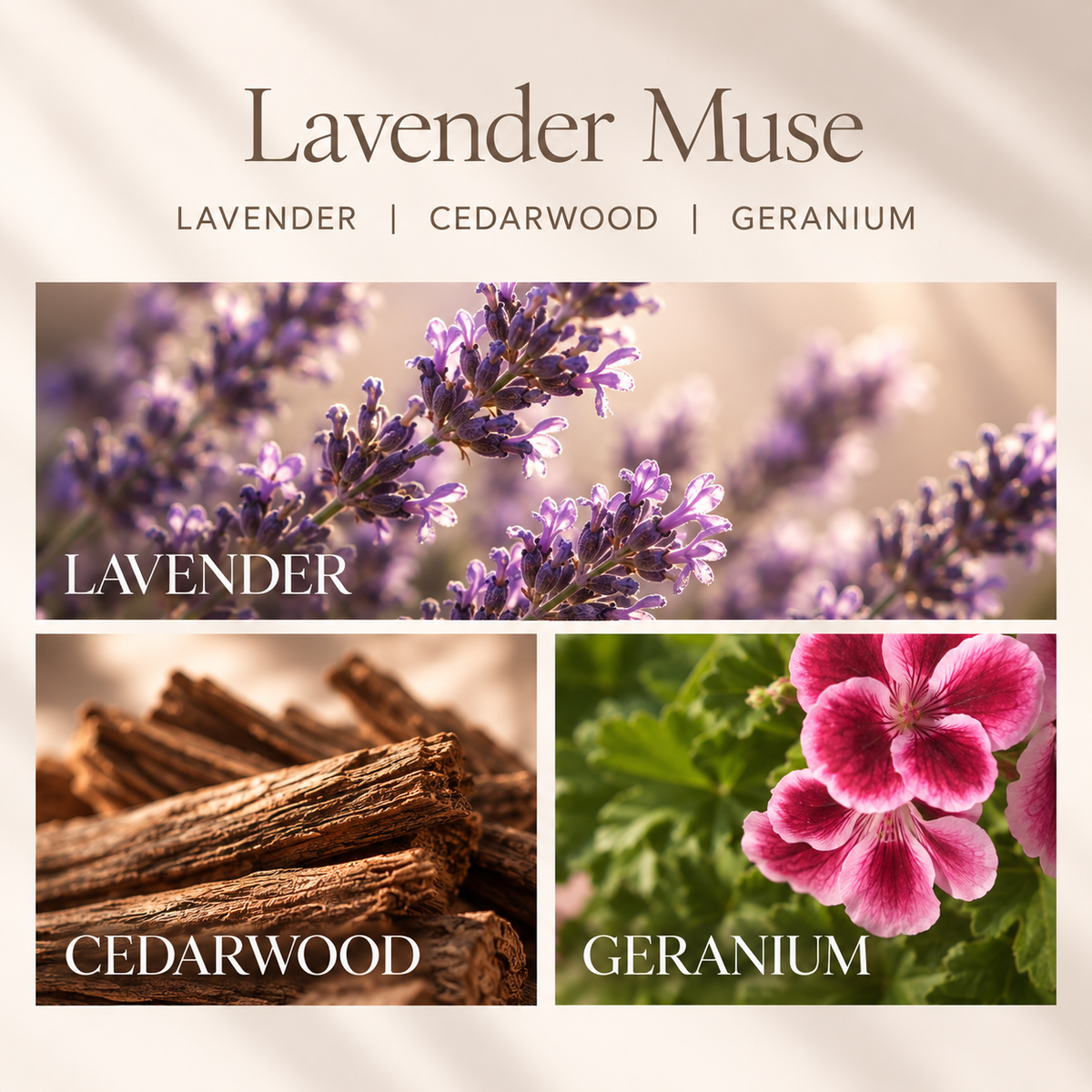 Lavender Muse Luxury Scented Candle | Malbella Essentials